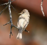 DSC_7190b.jpg