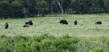 DSC_7409b.jpg
