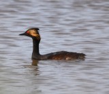 DSC_5066b.jpg