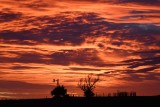 DSC_6744b.jpg