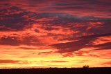 DSC_6755b.jpg