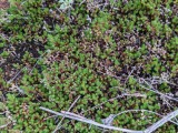 PXL_20210525_142432396.jpg