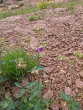 PXL_20210525_143337276.jpg