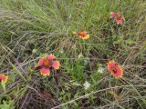 PXL_20210525_144004215.jpg