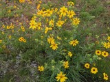 PXL_20210525_162550083.jpg