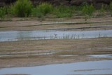 DSC_6602.jpg