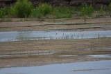 DSC_6603.jpg