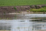 DSC_6610.jpg