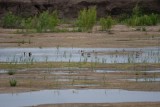 DSC_6613.jpg