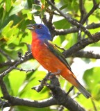 DSC_6808b.jpg
