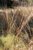 PXL_20211106_164102195b.jpg