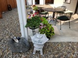 20220910_094920.jpg