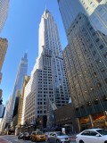 IMG_2649.JPG