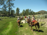 Riding through the creek