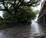 New Orleans Pirates Alley during Coronavirus crisis