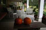 Pumpkin Season