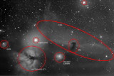 B33 + IC434 + NGC2024 etc