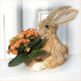 Easter in Lockdown