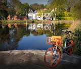 Carshalton Ponds