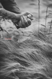 Reportage 92+.jpg