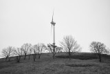 NEUHAUSEN & ENVIRONMENT
