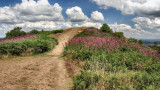 Malvern Hills, Worcestershire.