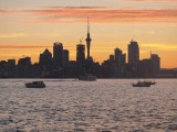 Auckland Harbour 3