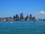 Auckland Afternoon 1