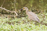 Web IMG_7702.jpg