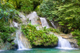 Las Escobas Tropical Rainforest - Izabal, Guatemala