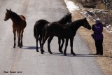 Ghislaine et ses nouveaux amis