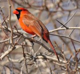 FWG Blog: February 2020