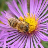 FWG Blog: September 2020