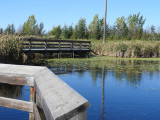 Boardwalk at the John E. Poole Wetland