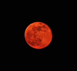 Mond 