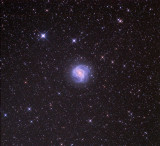 M 83 