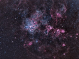 NGC 2070 Tarantel - Nebel Gr. Mag.-Wolke