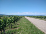 La route pour Scharrach