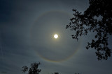 Halo