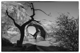 Monument Valley-A Back County Arch, Navajo Nation, Arizona