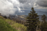 Low Clouds Passing Clingmans Dome