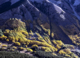 An Aerial View Near Gunnison Colorado: Aspen Patterns In Light And Shadow