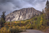 Late Afternoon At Kebler Pass, Colorado