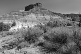 A Clear Morning In Escalante National Monument, Utah