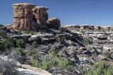 Mushroom Rock Formations, The Needles Section Of Canyonlands At Mid-Morning