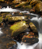 Little Stoney Creek Fall Colors