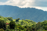 Blue Mountains - Above Irish Town