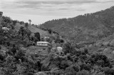Buff Bay to Hardware Gap Road, Portland Parish II