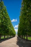 Jardin du Luxembourg II