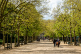 Jardin du Luxembourg VII